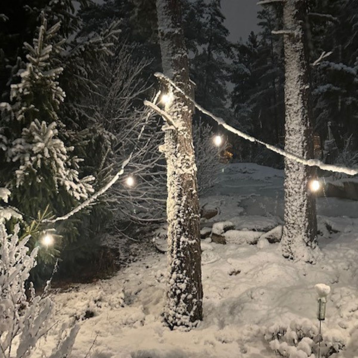 SELED ULKOVALOSARJA /VALOKETJU ULKOKÄYTTÖÖN VAIHDETTAVILLA E27 LED -LAMPUILLA. 10m / 10 lamppua